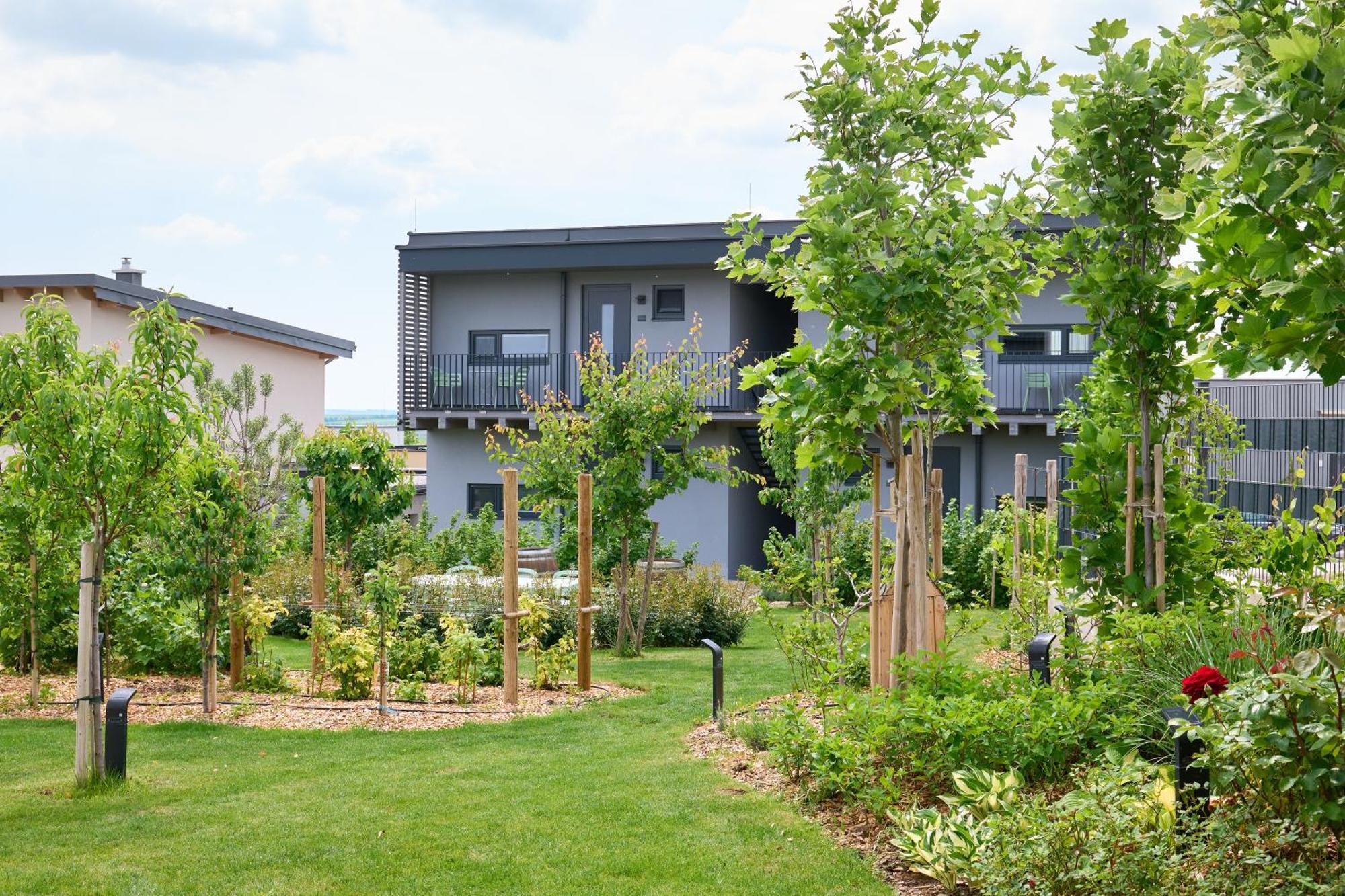Apartments Vineyard19 Retz Exterior foto